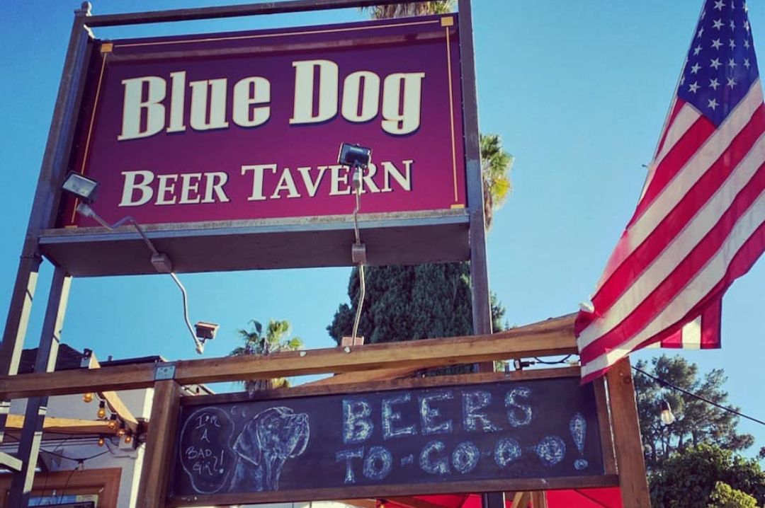 Blue Dog Beer Tavern