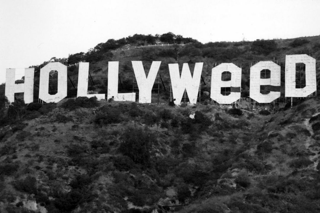 hollywood cannabis tour