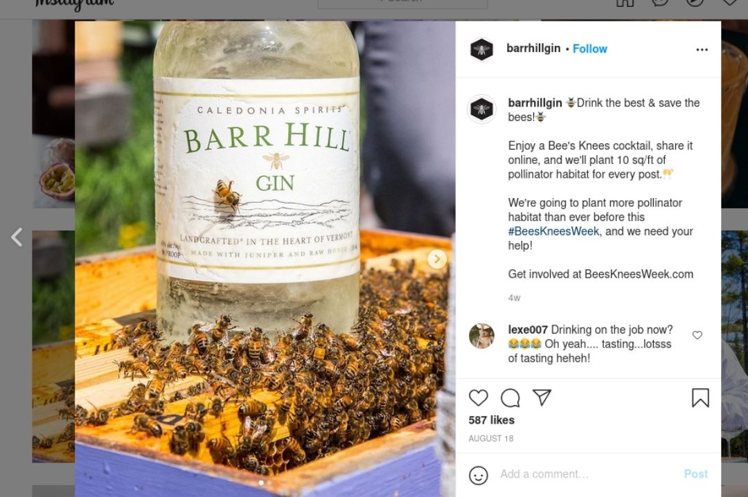 barrhillgin beeskneesweek instagram