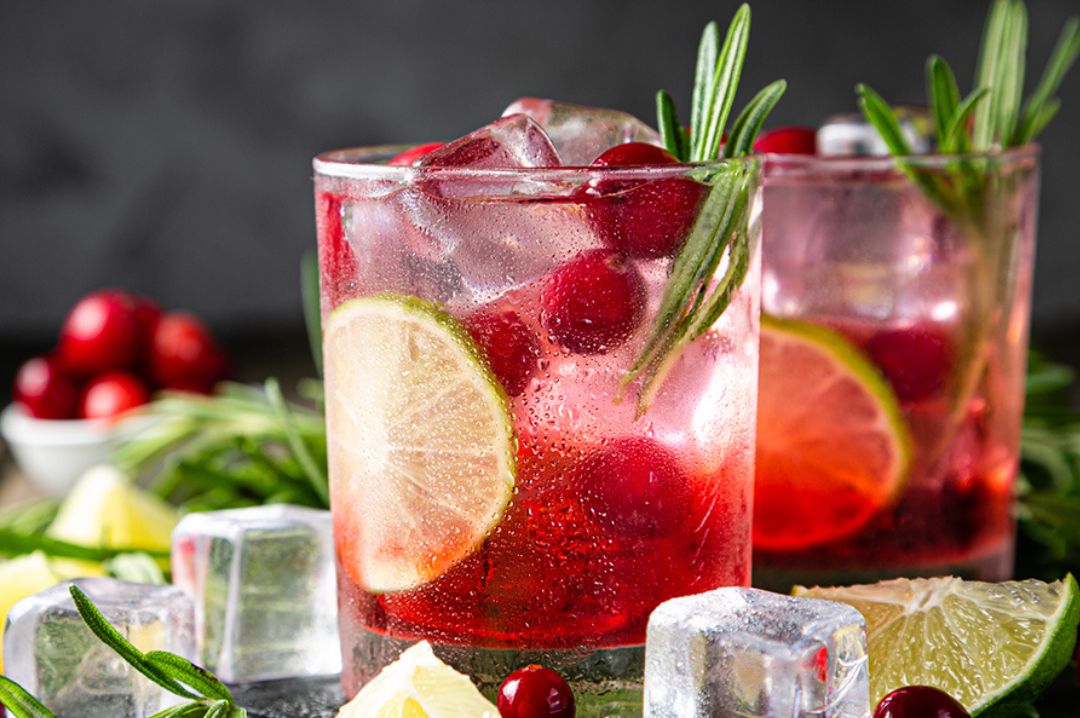 Cranberry Thyme Gin and Tonic