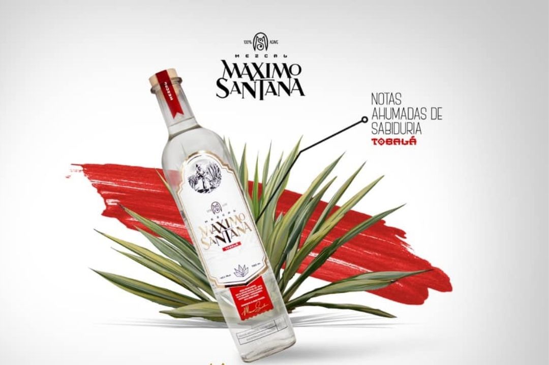 Mezcal Máximo Santana Mezcal Tobalá