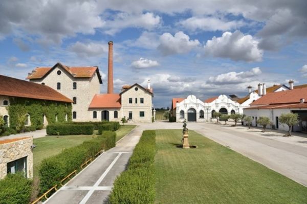 Photo for: DFJ Vinhos: Creating wines that people enjoy