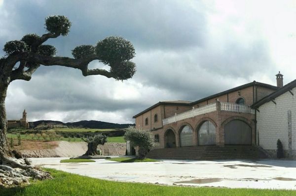 Photo for: Bodegas Alvia - Bringing you award winning wines from La Rioja, Spain