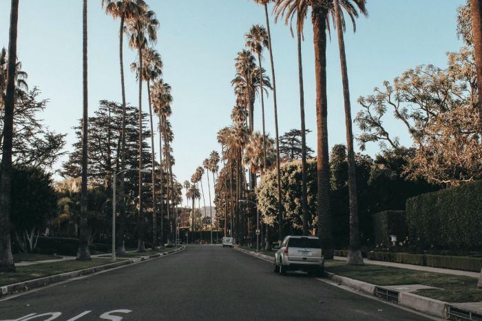 Photo for: Drink Your Way Through Los Angeles in April